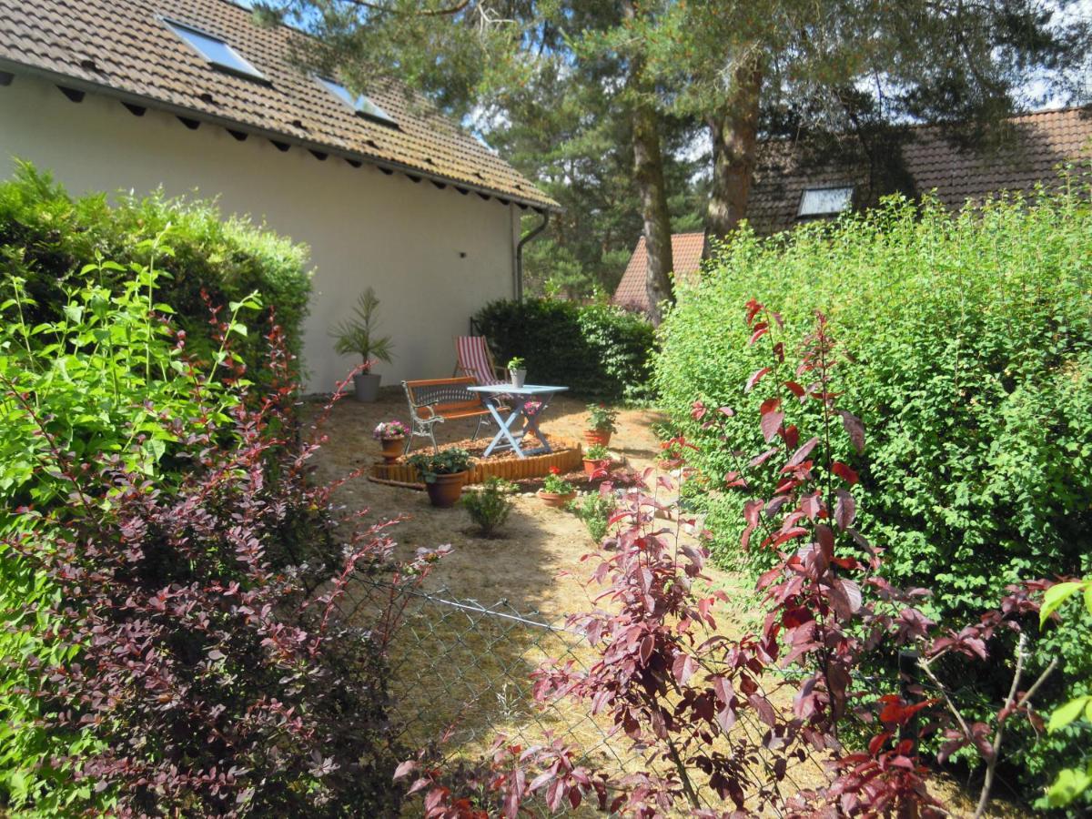 Lenzer Parkblick Am Plauer See Exteriör bild