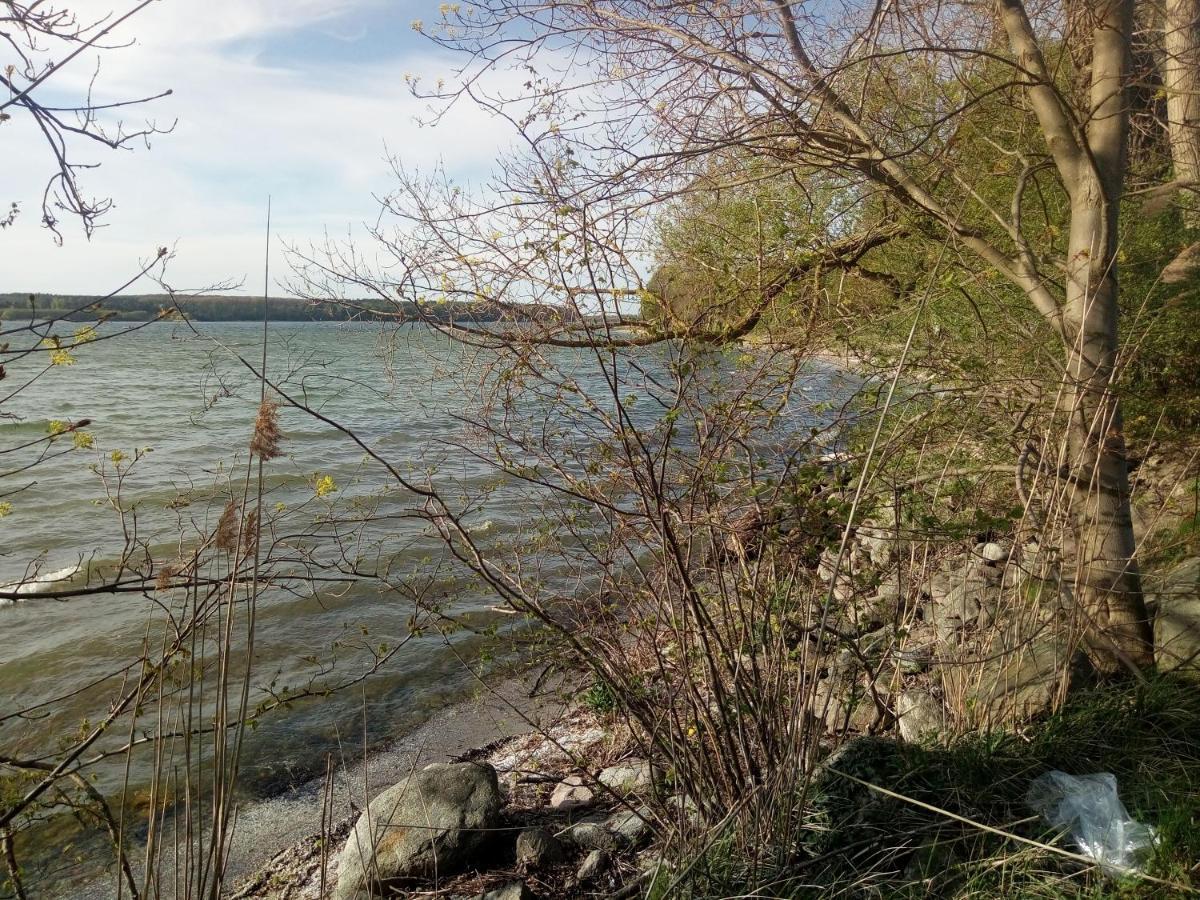 Lenzer Parkblick Am Plauer See Exteriör bild