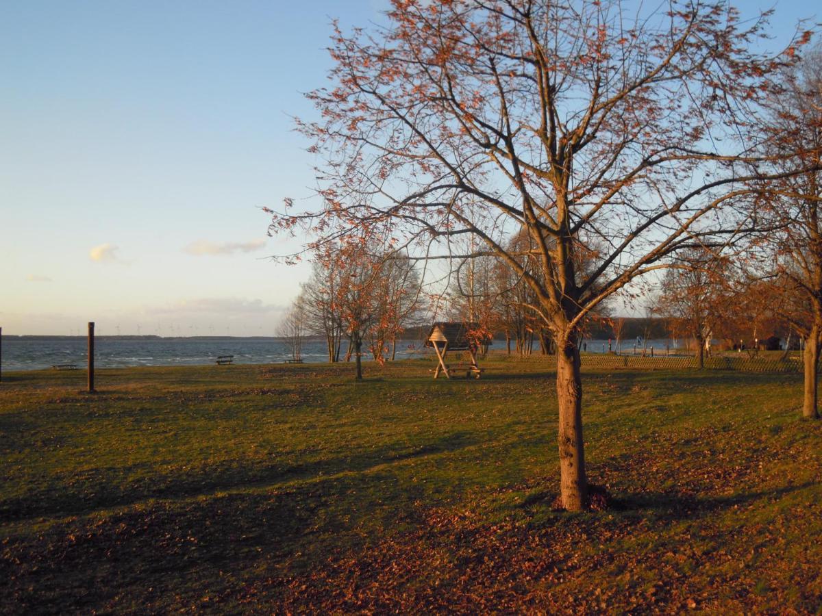 Lenzer Parkblick Am Plauer See Exteriör bild