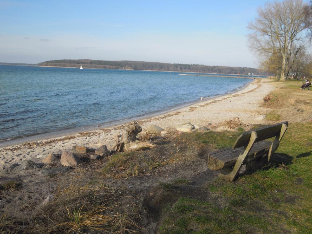 Lenzer Parkblick Am Plauer See Exteriör bild