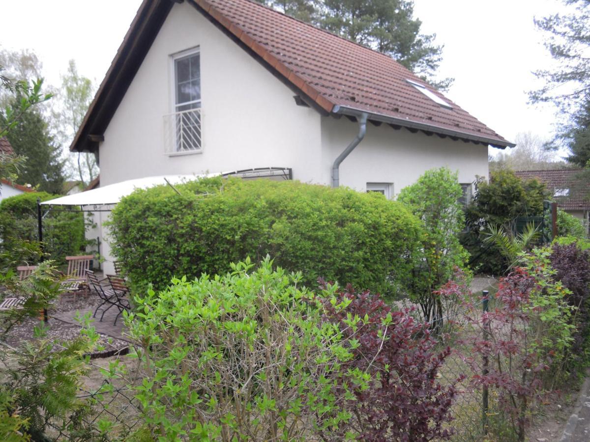 Lenzer Parkblick Am Plauer See Exteriör bild