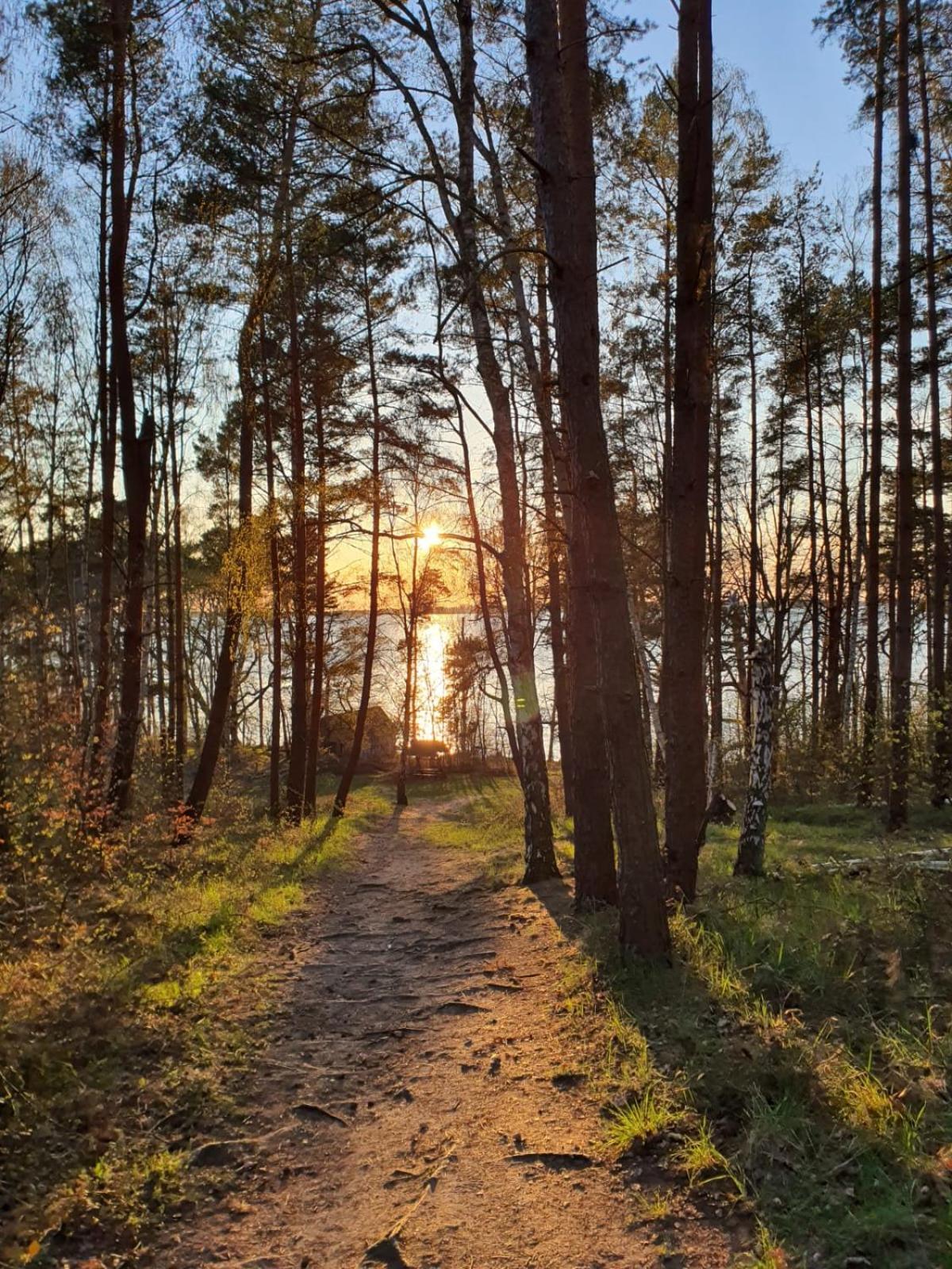 Lenzer Parkblick Am Plauer See Exteriör bild